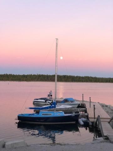 Tamarac Island Motel Stokes Bay Kültér fotó