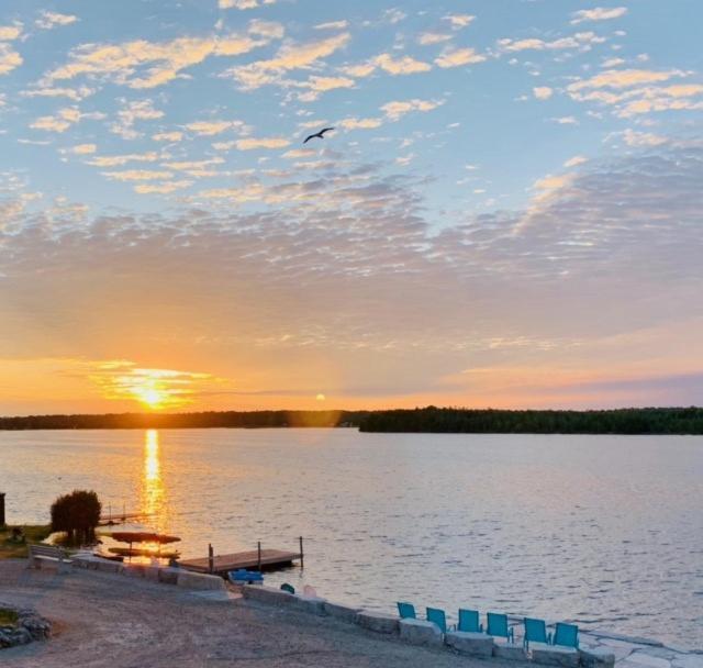 Tamarac Island Motel Stokes Bay Kültér fotó