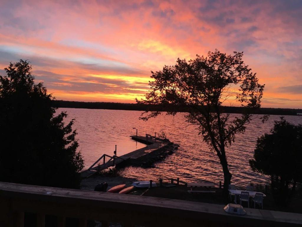Tamarac Island Motel Stokes Bay Kültér fotó